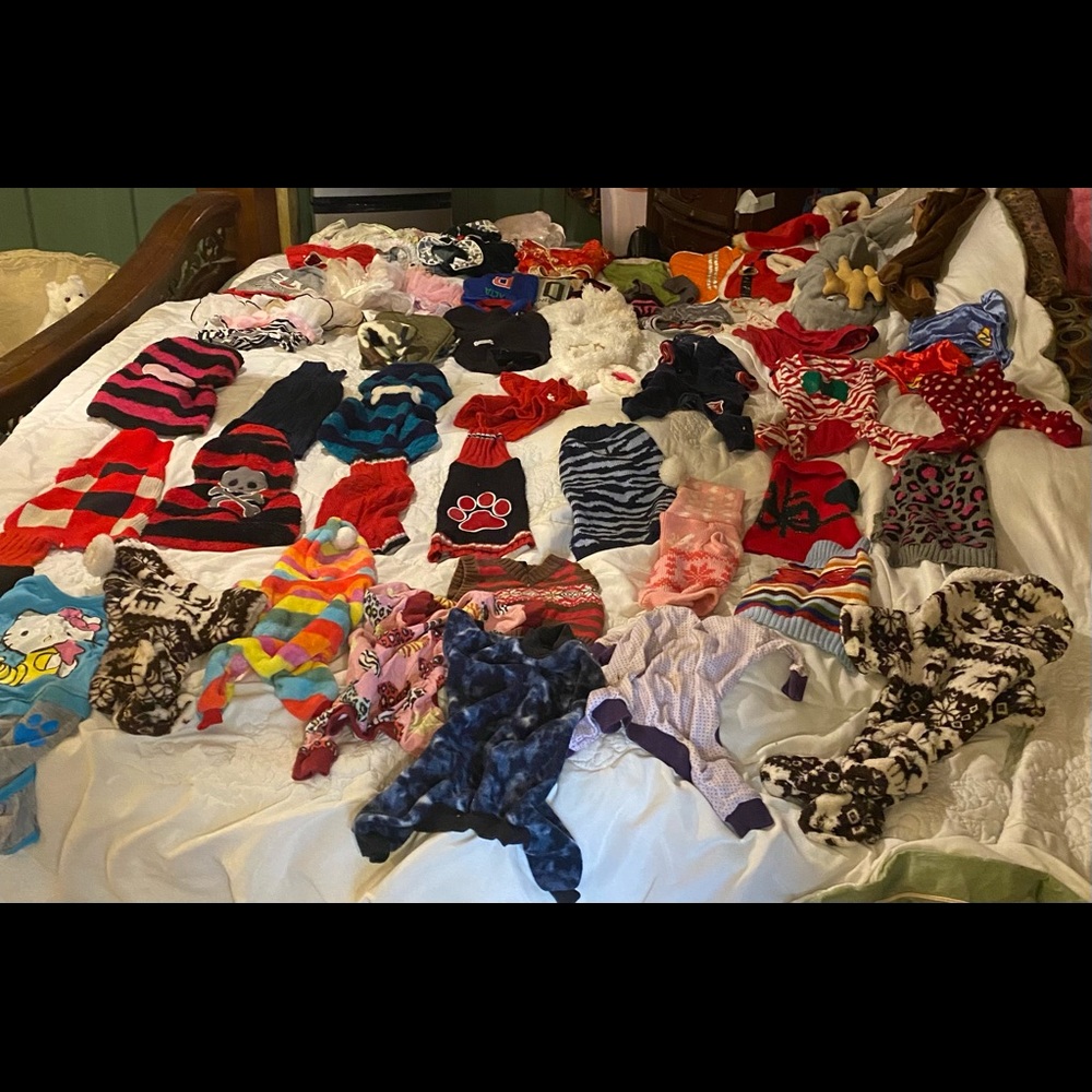 Size Small dog wardrobe. Over 50 pieces,